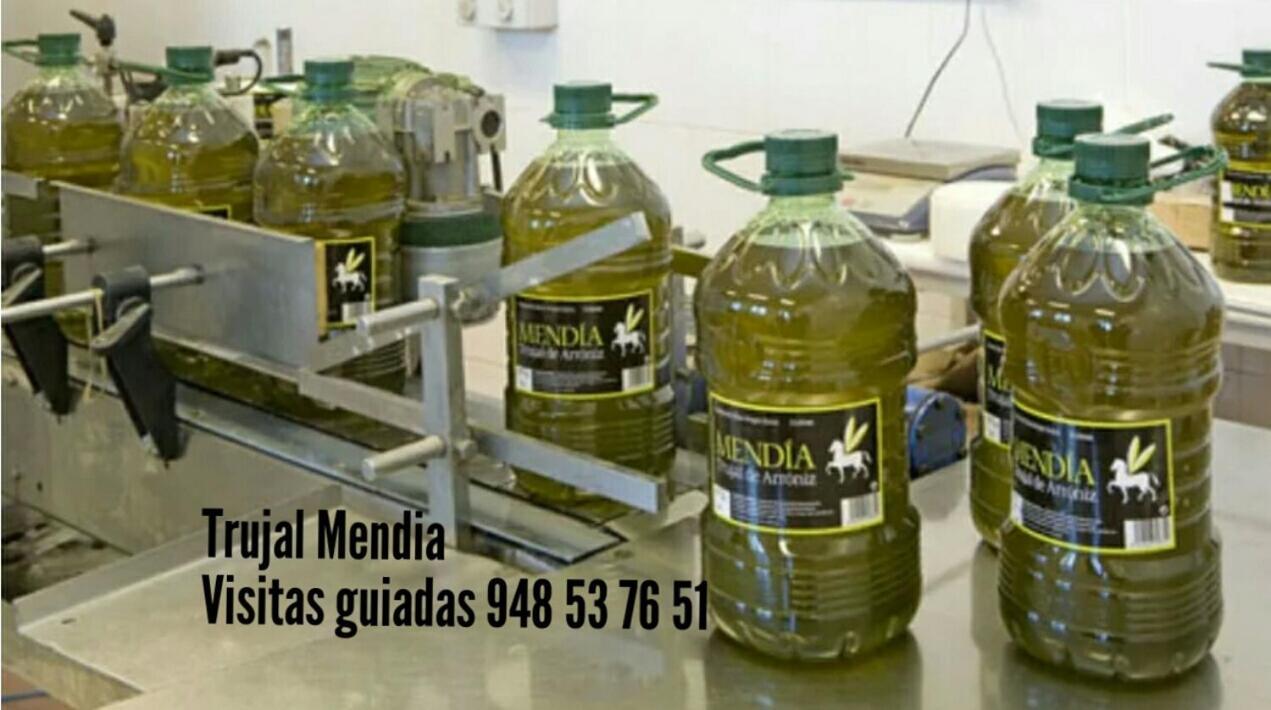Greta Etxea Villa Arroniz Ngoại thất bức ảnh